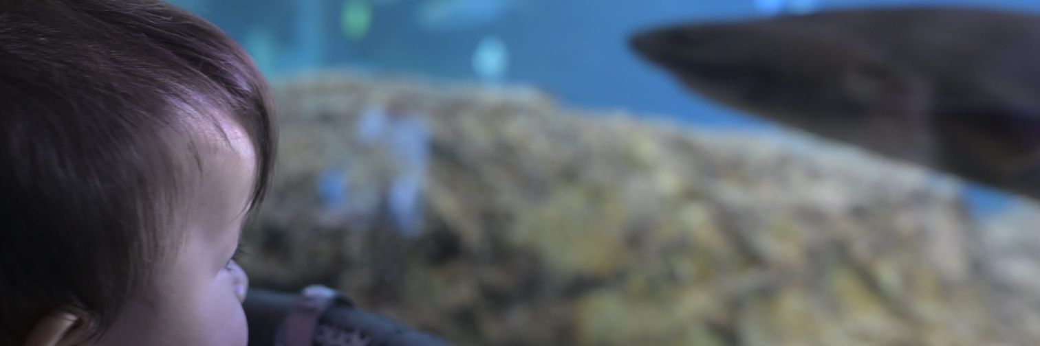 oflonen's profile banner image
