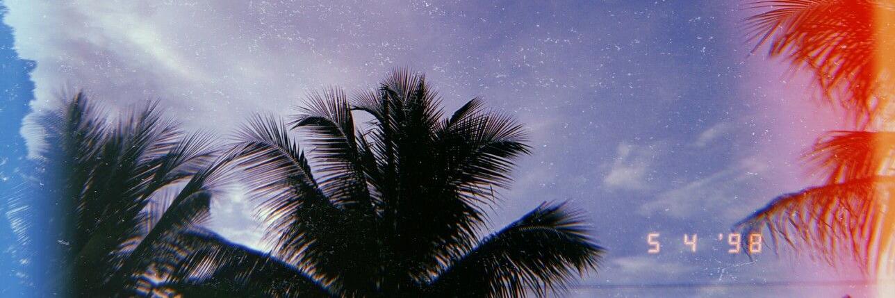veslava_k's profile banner image