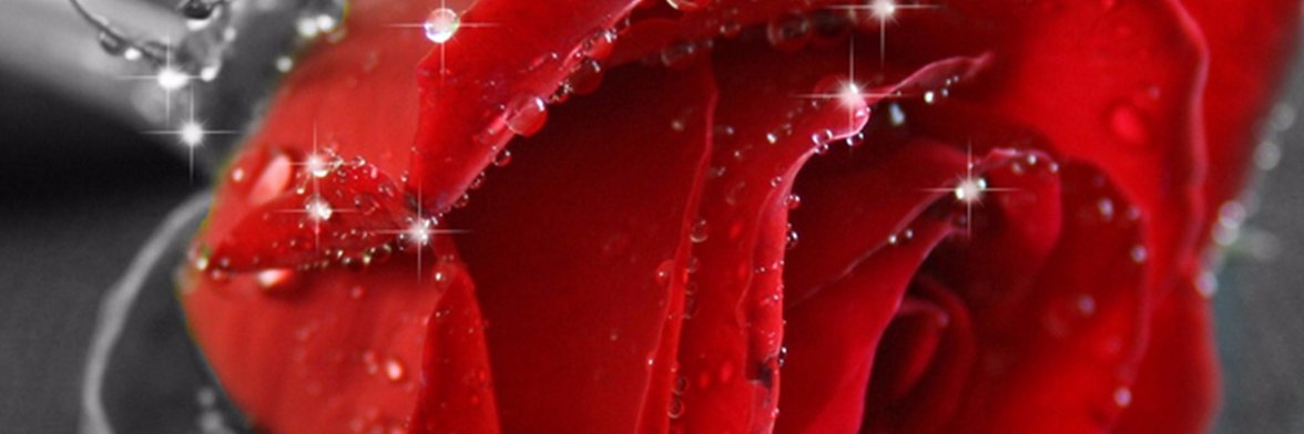CaryInPA's profile banner image