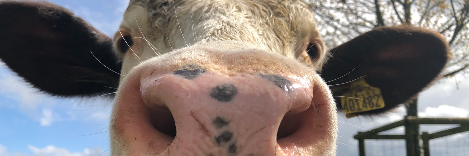 Experience Chipping Norton banner