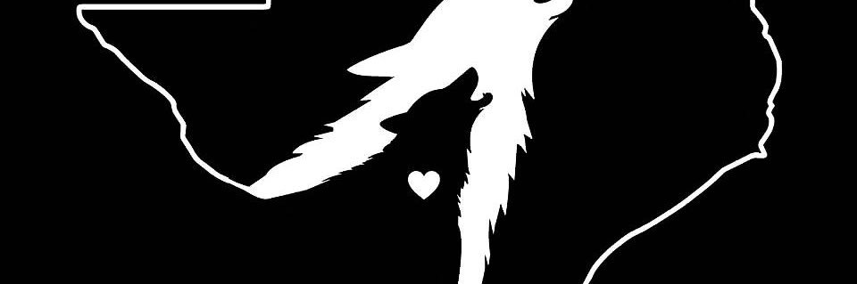 Jeddy_boy's profile banner image