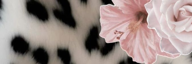 bebalisax's profile banner image