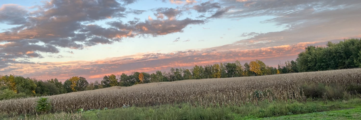 AshleyFris's profile banner image
