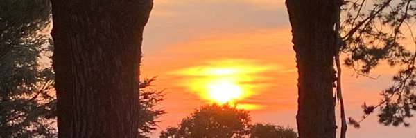 AmeliaChity Profile Banner