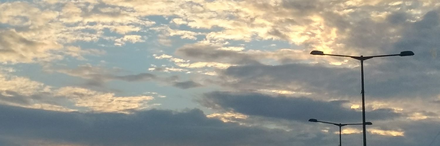 pingwiens's profile banner image