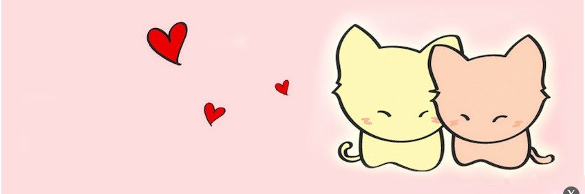 mahmut kırgın banner