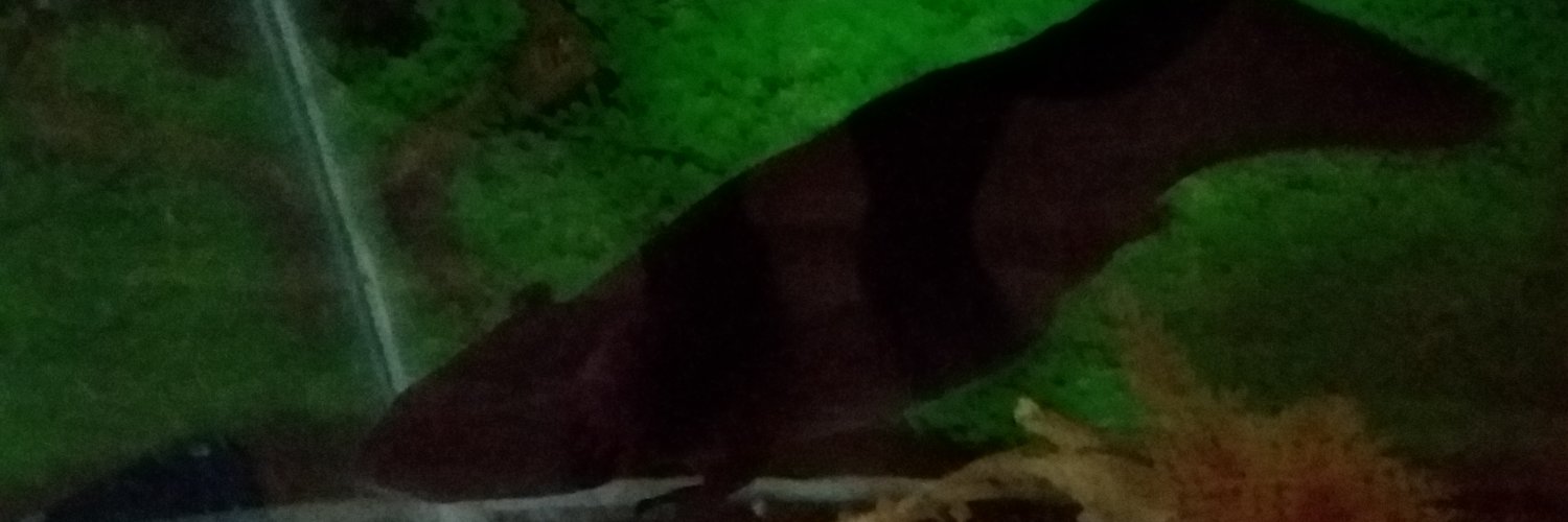 GCoffin1's profile banner image
