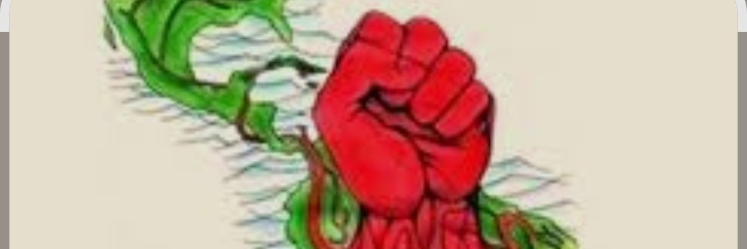 HHMARTINL's profile banner image