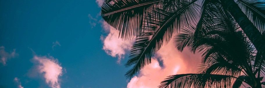 Veronicaabalo's profile banner image