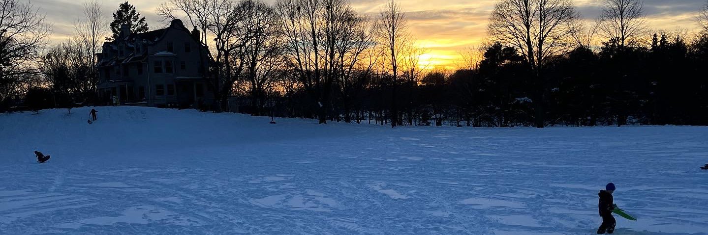 Brigitte Mussack banner