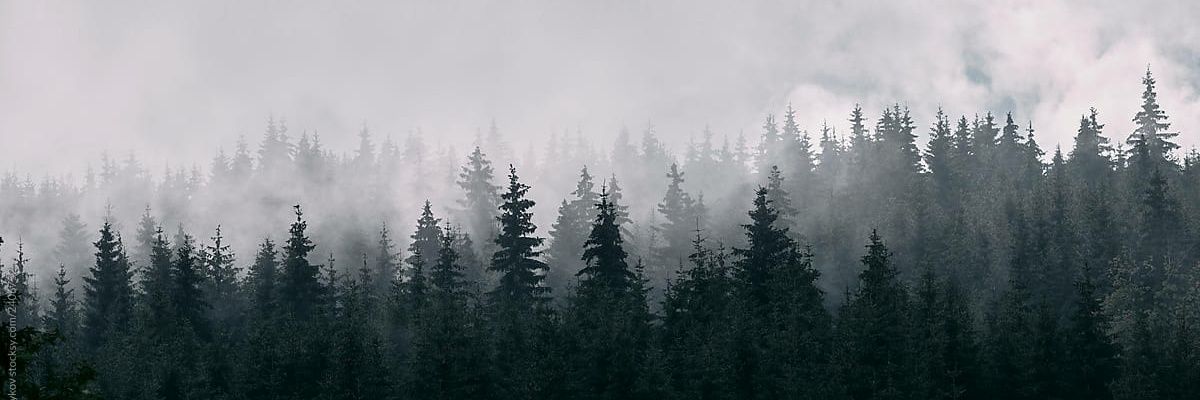 ergogeisha's profile banner image