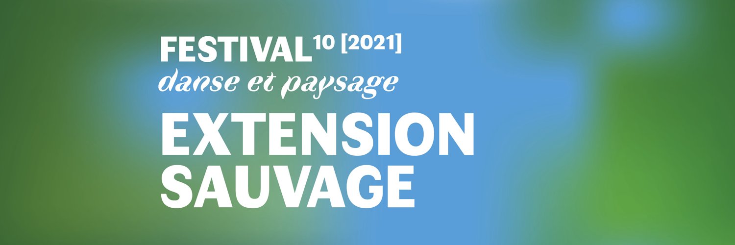 FestExtSauvage's profile banner image