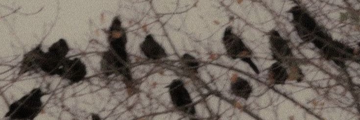 Emil_SL's profile banner image