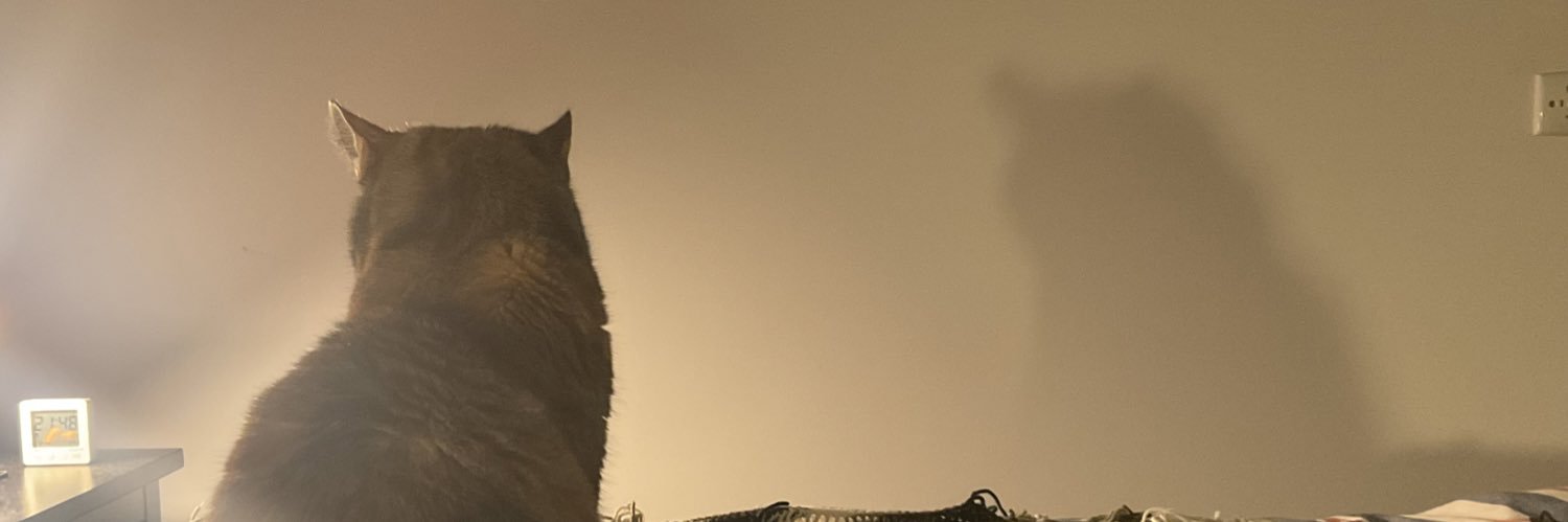 🇦🇺KEVINSKI banner