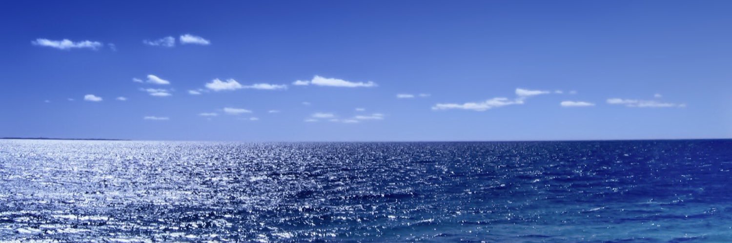 بندر الحربي banner