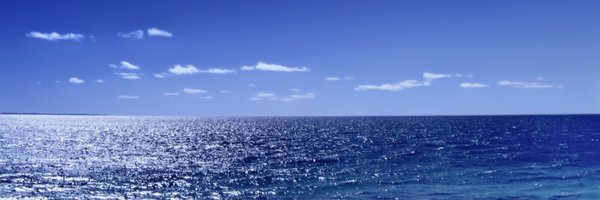 BANDER295 Profile Banner