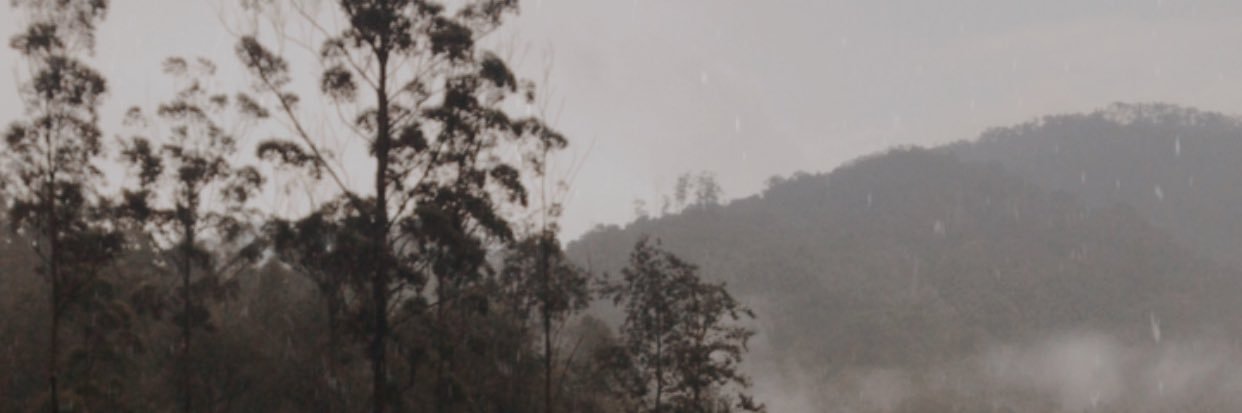 a_avika's profile banner image