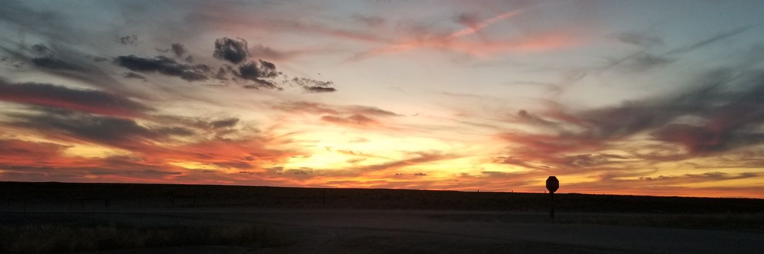 ScruffBoiii's profile banner image