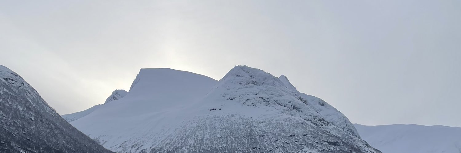 Ingrid Faleide banner