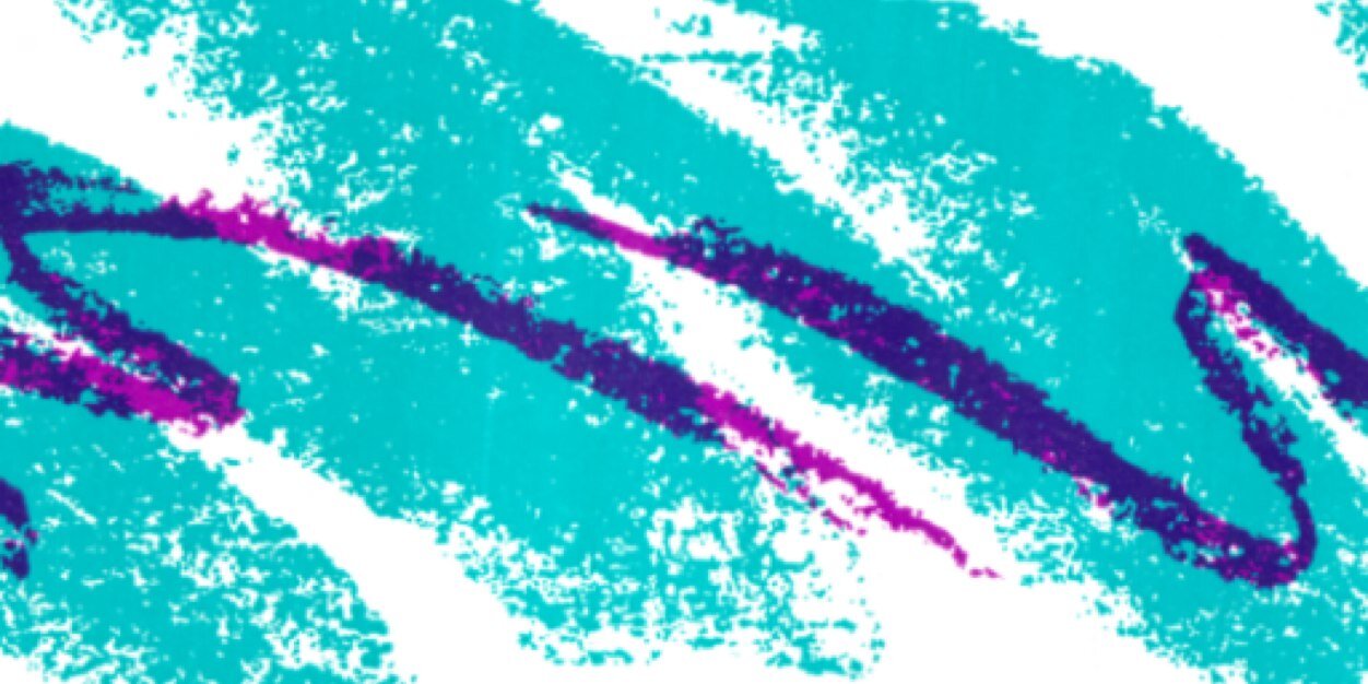 Judge_Drewdy's profile banner image