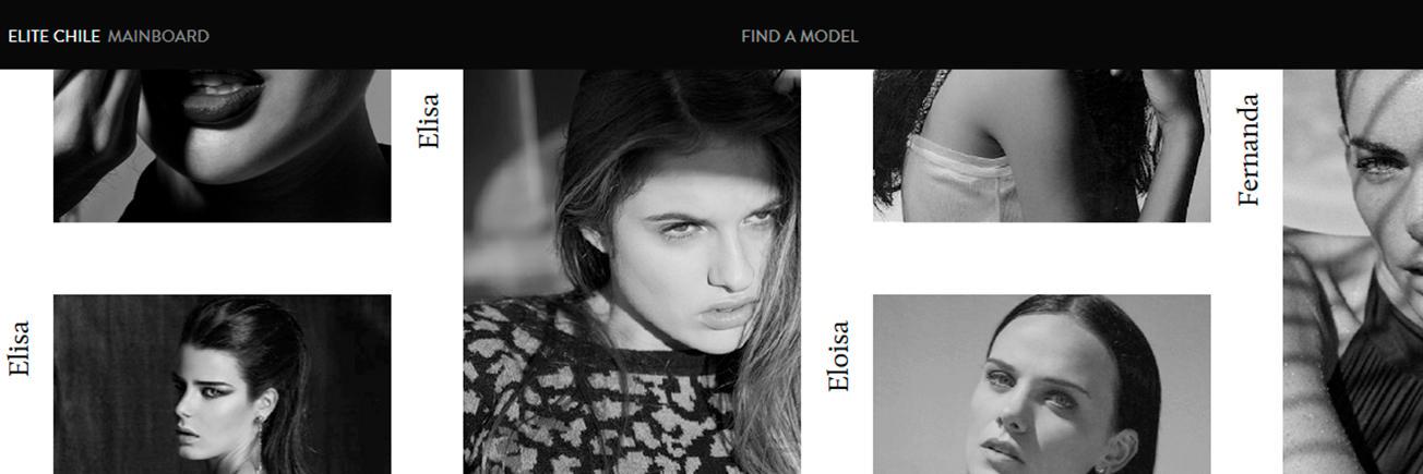 elitechile's profile banner image