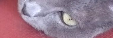ElenaR18's profile banner image