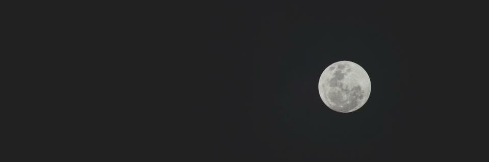 Pridhex's profile banner image