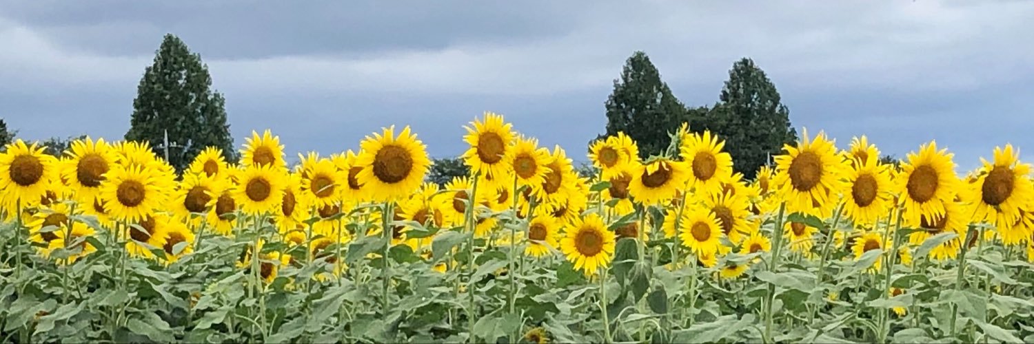chebmama's profile banner image