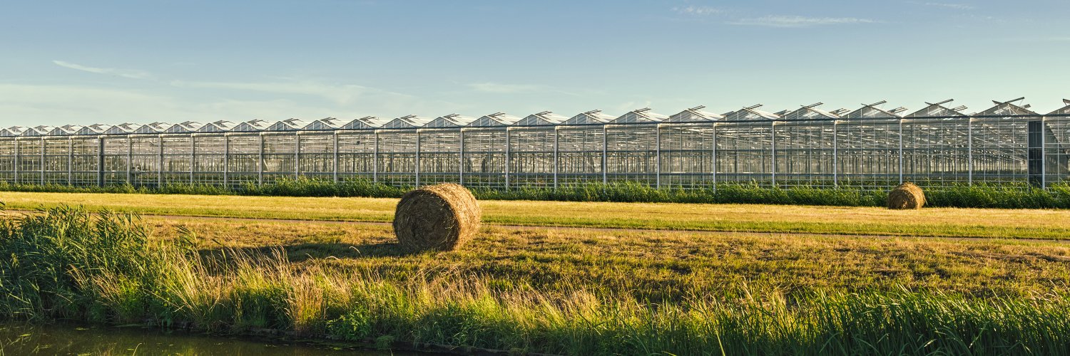 Koppert México banner