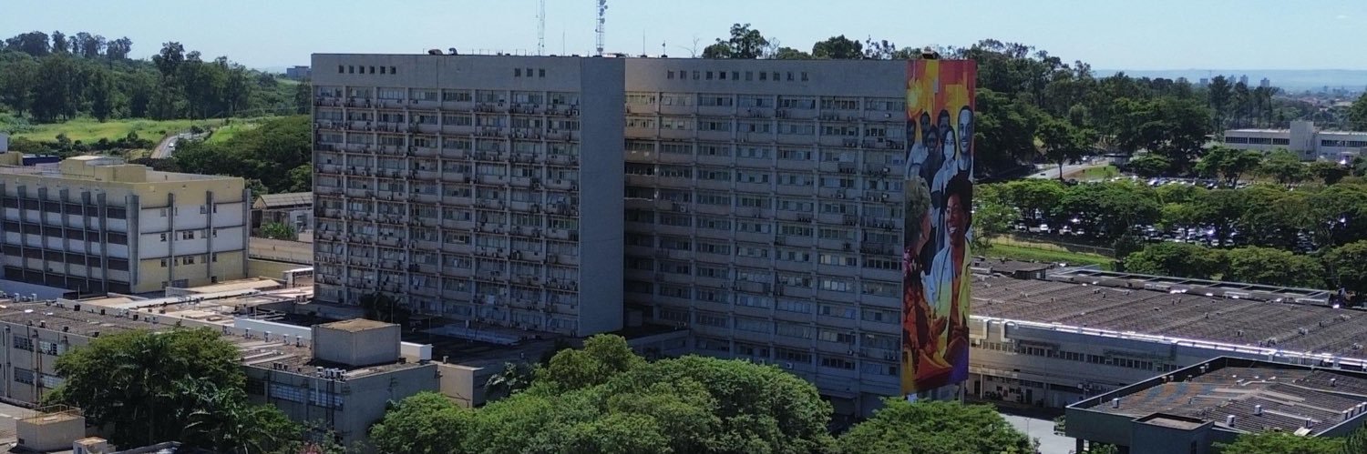 Luiz Gustavo Brito, MD,MSc,PhD banner
