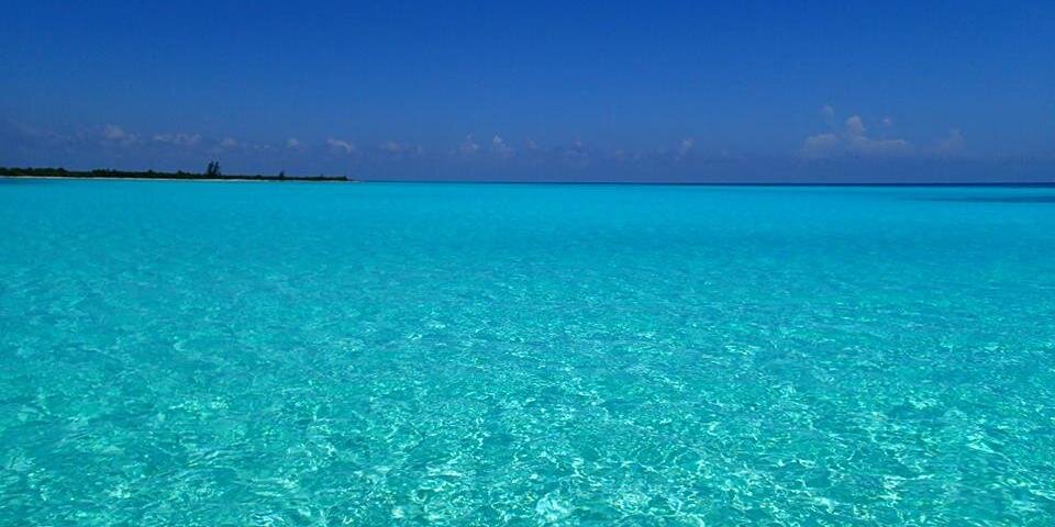 Cozumel's profile banner image