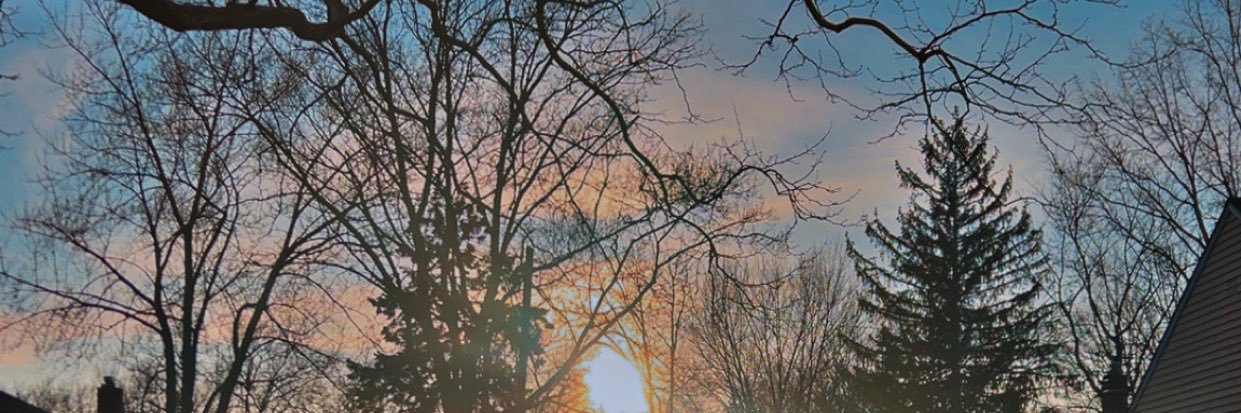 Angela🫎🐿️ banner