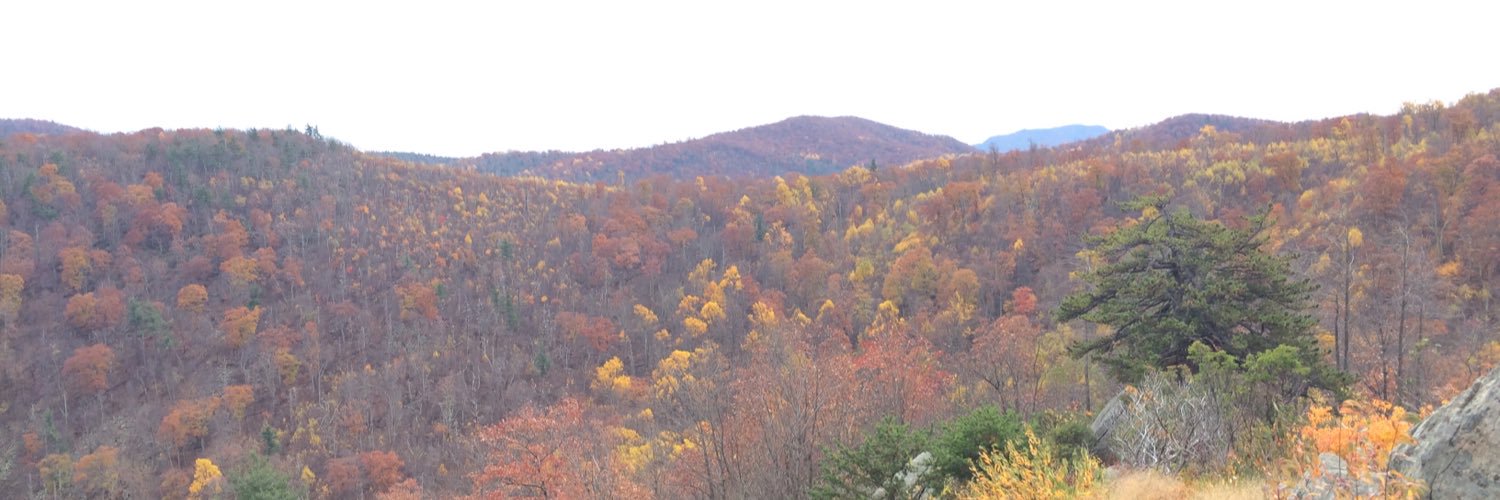 Vedasri Siddamsetty banner