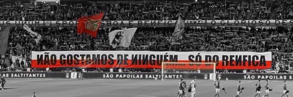 ms1904t's profile banner image