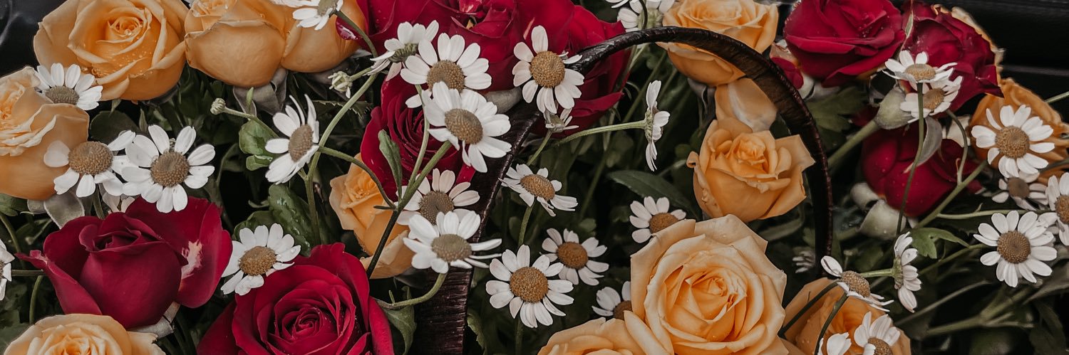 Mozi_S's profile banner image