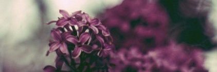 lerrslie's profile banner image