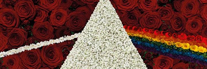 GoncaZengin's profile banner image