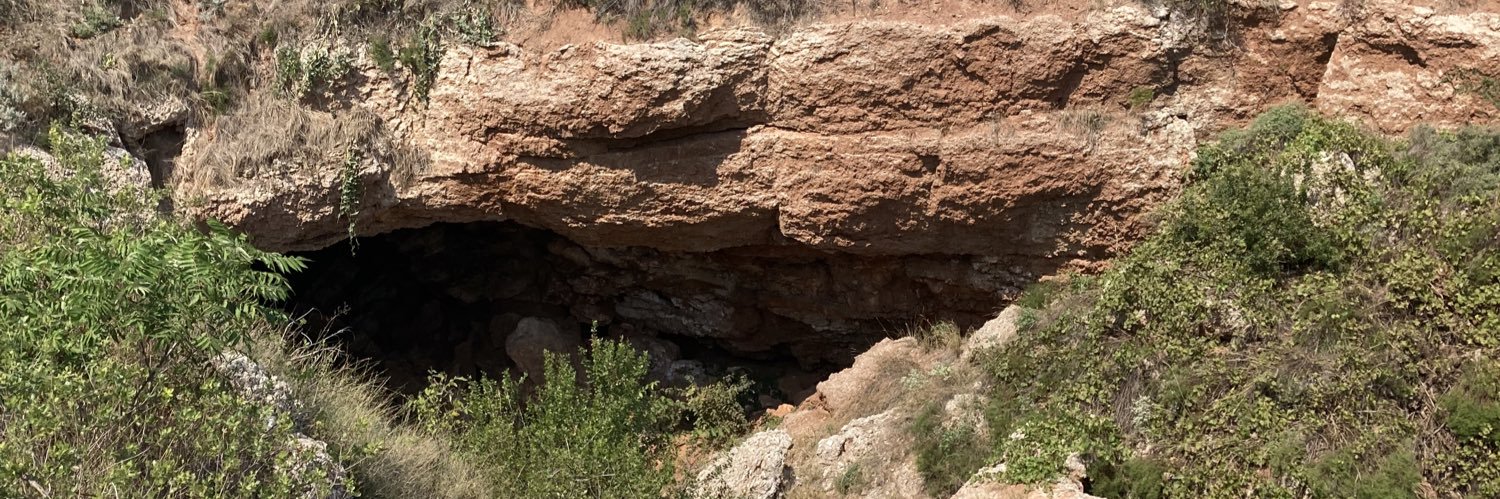 Daniel Becker banner