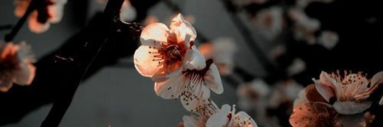 gs____c's profile banner image