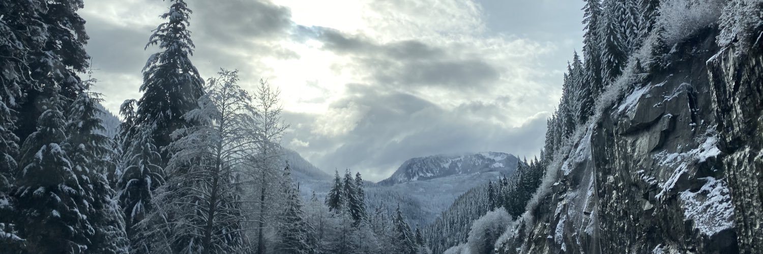 TaylorMentzer's profile banner image