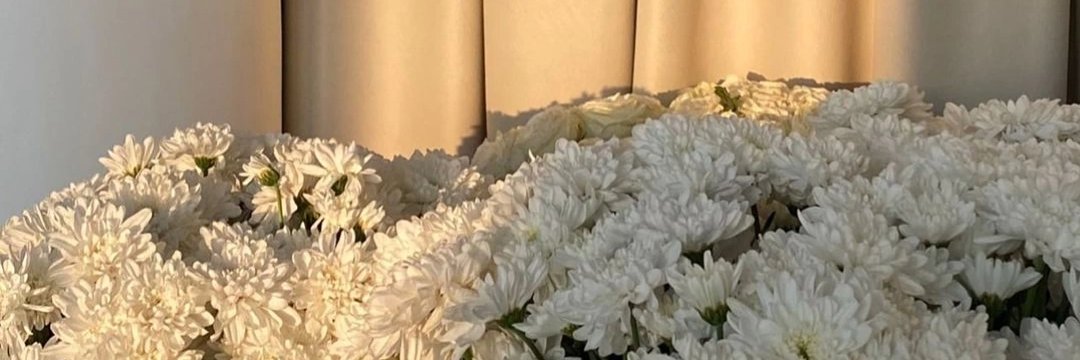 piliponyet's profile banner image