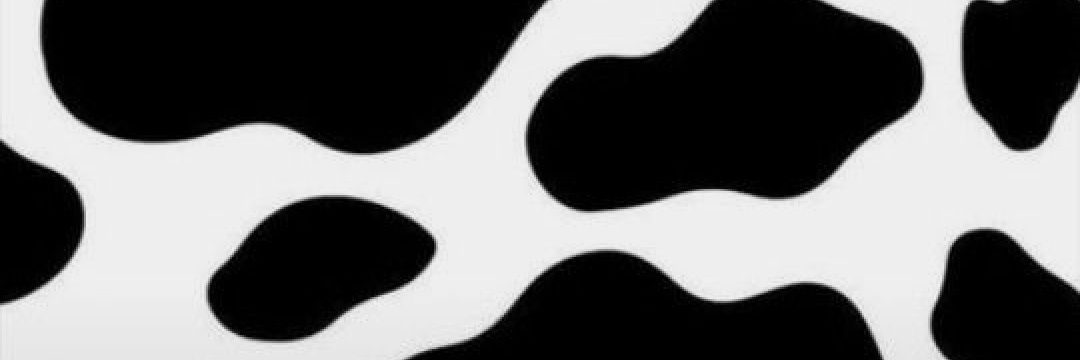 SofiStankovic's profile banner image
