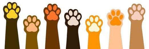 Patitas_Lima's profile banner image