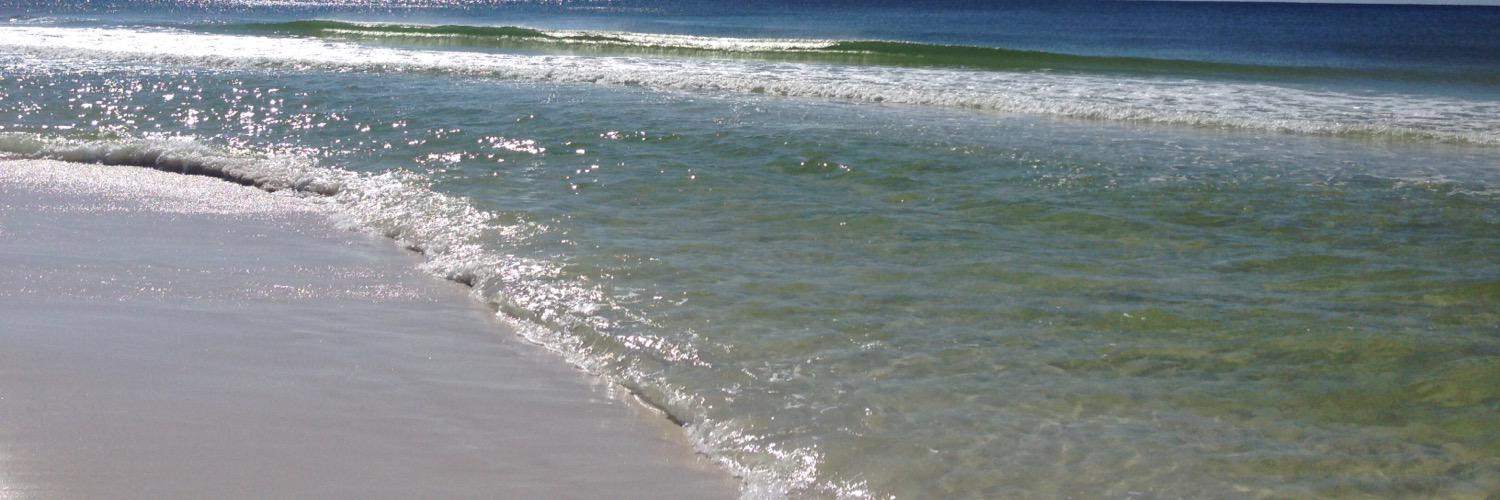 SharonRJackson's profile banner image