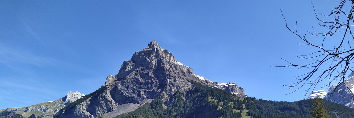 ludvikjul's profile banner image