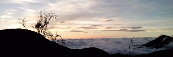 M1ch_S's profile banner image