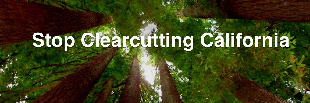 Stop Clearcutting CA banner