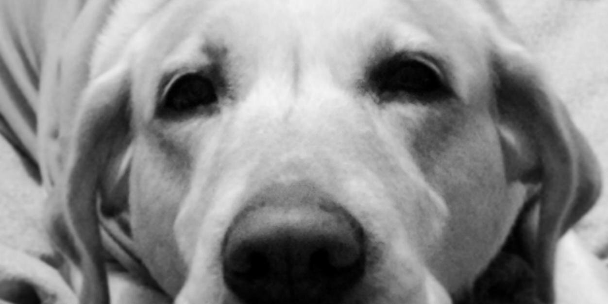 kapercris's profile banner image
