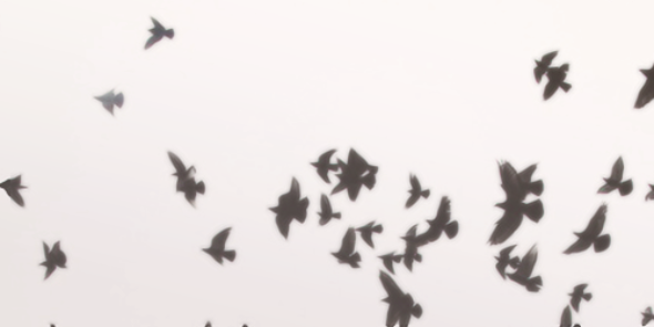 izzy_melo's profile banner image