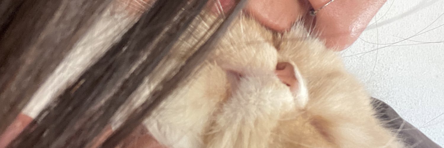 antonellaa016's profile banner image